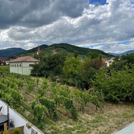 Alsacebnb - Gite 12 Personnes Dans Le Vignoble - Piscine Privee & Spa Ammerschwihr Ngoại thất bức ảnh