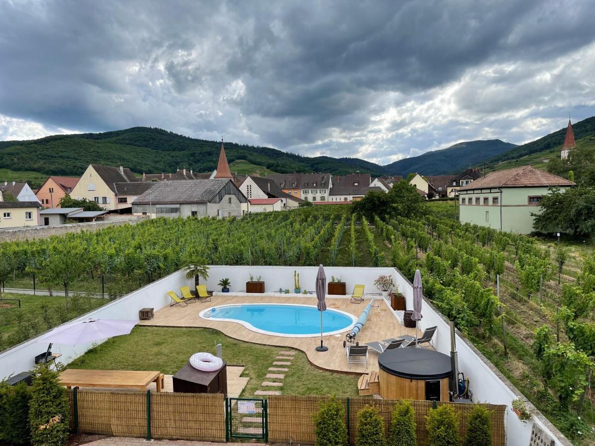 Alsacebnb - Gite 12 Personnes Dans Le Vignoble - Piscine Privee & Spa Ammerschwihr Ngoại thất bức ảnh