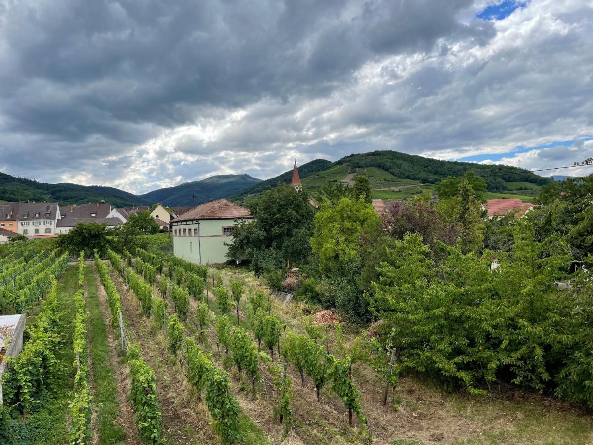Alsacebnb - Gite 12 Personnes Dans Le Vignoble - Piscine Privee & Spa Ammerschwihr Ngoại thất bức ảnh