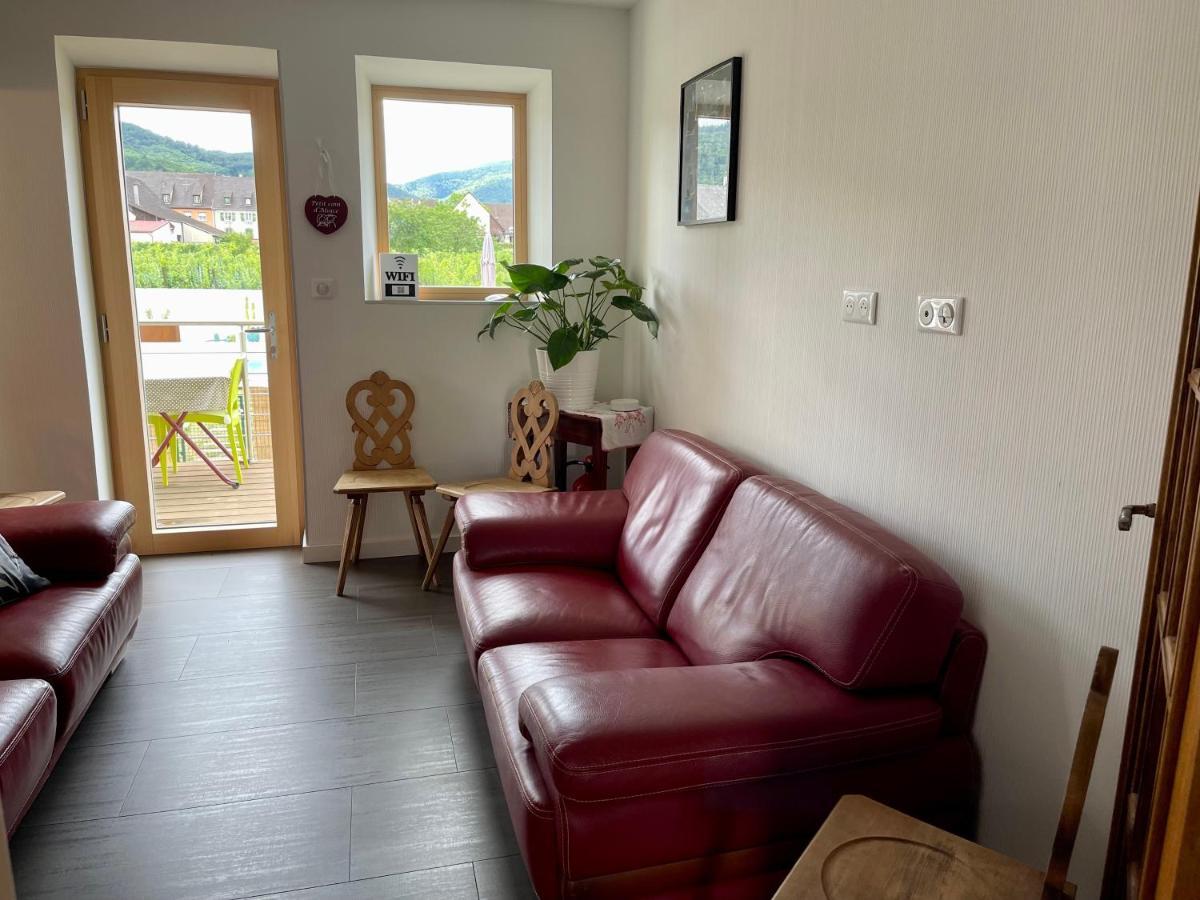 Alsacebnb - Gite 12 Personnes Dans Le Vignoble - Piscine Privee & Spa Ammerschwihr Ngoại thất bức ảnh