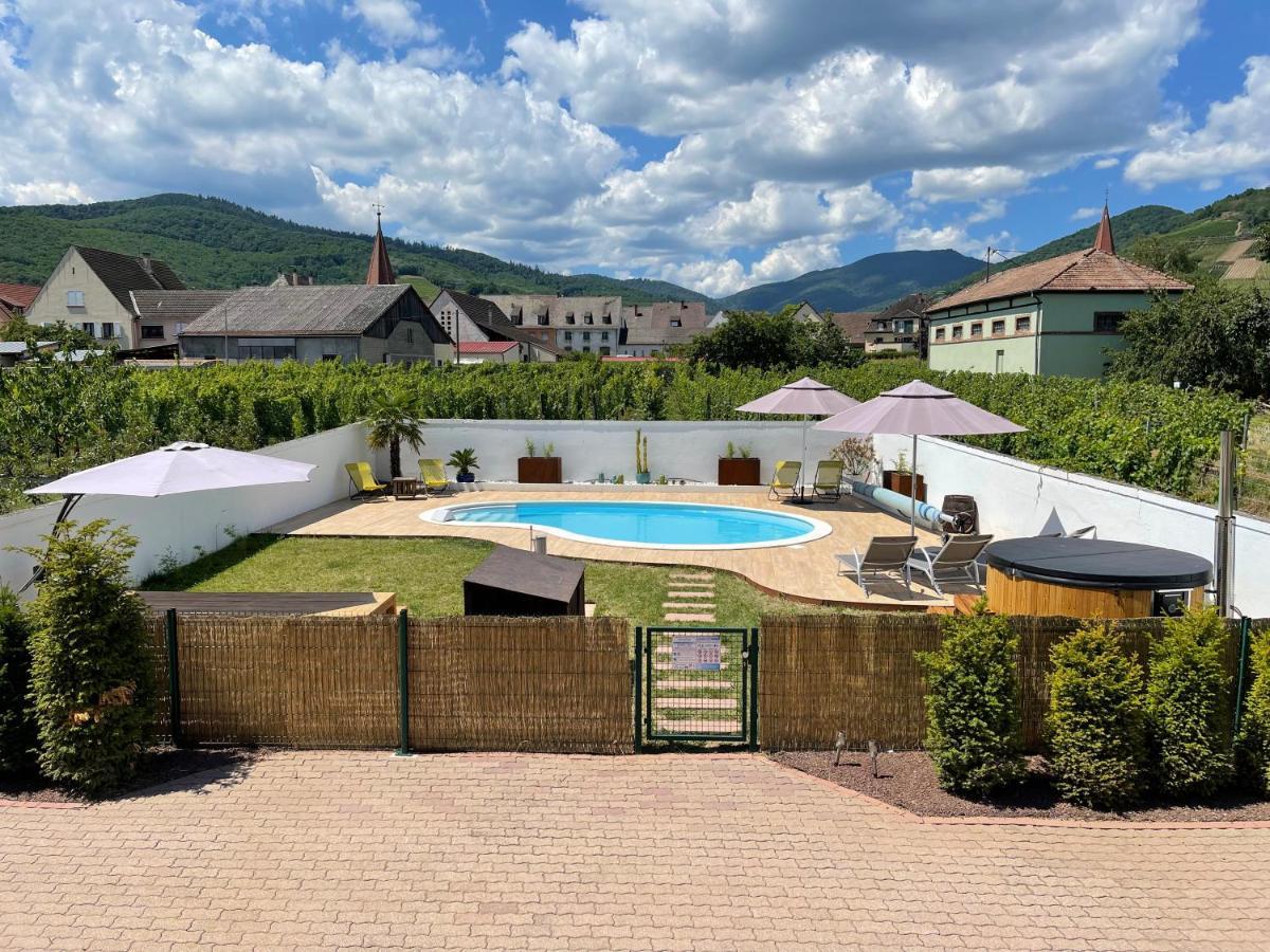 Alsacebnb - Gite 12 Personnes Dans Le Vignoble - Piscine Privee & Spa Ammerschwihr Ngoại thất bức ảnh
