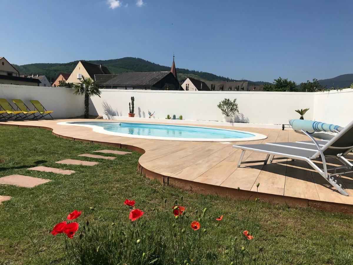 Alsacebnb - Gite 12 Personnes Dans Le Vignoble - Piscine Privee & Spa Ammerschwihr Ngoại thất bức ảnh